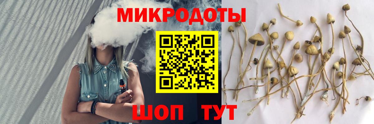 Галлюциногенные грибы Cubensis  Галлюциногенные грибы Psilocybe  Зима  Вход с VPN 